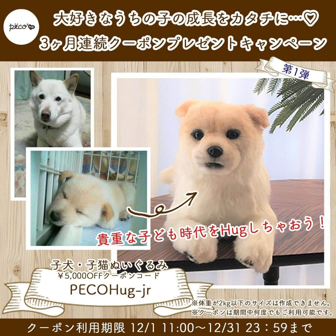 PECO Hugのインスタグラム：「大好きな"うちの子"の成長をぬいぐるみとして カタチにするチャンス！  PECO Hugはお写真から愛犬・愛猫を表現したぬいぐるみを作成するサービスであることから、みなさまにもっと"うちの子の思い出"に寄り添っていただけるよう "うちの子"の成長に合わせたお得なクーポンを 3ヶ月連続プレゼントするキャンペーンを開催いたします。  🐶キャンペーン概要😸 以下の期間中、愛犬・愛猫の成長時期に合わせてご利用いただけるクーポンコードをプレゼントいたします。  👶第一弾👶 第1弾は貴重な子供時代をHugしちゃおう！！ということで、 【子犬・子猫のぬいぐるみクーポン】をプレゼント♪  🔖クーポン配布・利用期間 🔖 2020年12月1日（火）11:00～2020年12月31日（木）23:59まで  📧クーポンコード📧 PECOHug-jr  ※体重が2kg以下のワンちゃんネコちゃんは作成ができません。実際に2kg以下のワンちゃんネコちゃんをご希望の場合は、最低体重である2kgとして登録させていただくことをご了承くださいませ。  👇今後予定しているプレゼント👇  👱‍♂️第二弾👱‍♂️ 【成犬・成猫のぬいぐるみクーポン】  🔖クーポン配布・利用期間 🔖 2021年1月1日（金）11:00～2021年1月31日（日）23:59まで  📧クーポンコード📧 ～Coming Soon!～  👵第三弾👵 【シニア犬・シニア猫のぬいぐるみクーポン】  🔖クーポン配布・利用期間 🔖 2021年2月1日（月）11:00～2021年2月28日（日）23:59まで  📧クーポンコード📧 ～Coming Soon!～  【クーポンコードのご利用方法】 ①商品をカートに入れ、レジに進みます。 ②ご注文内容確認画面で、お手元の各クーポンコードを入力します。 ③注文確定画面でクーポンが適用されたことをご確認の上、注文を確定するボタンをクリックします。  ❗注意事項❗ ※ぬいぐるみ商品のため、剥製のような形で全ての特徴を表現できるわけではございません。 ※ぬいぐるみのサイズは指定できません。ご登録いただく体重によってある程度のサイズが決まっておりますが、イメージよりも大きく作成される場合がございます。 （ぬいぐるみのサイズ平均：30cm～45cm） ※1注文で1種類のクーポンのみご利用いただけます。 ※何度でも使用することができます。 ※ご注文後のクーポンご利用はできません。  #pecohug  #ぬいぐるみ #ペットグッズ #ペットロス #クーポンプレゼント #犬 #猫  #犬のいる暮らし  #猫のいる暮らし  #犬好きな人と繋がりたい  #猫好きさんと繋がりたい」