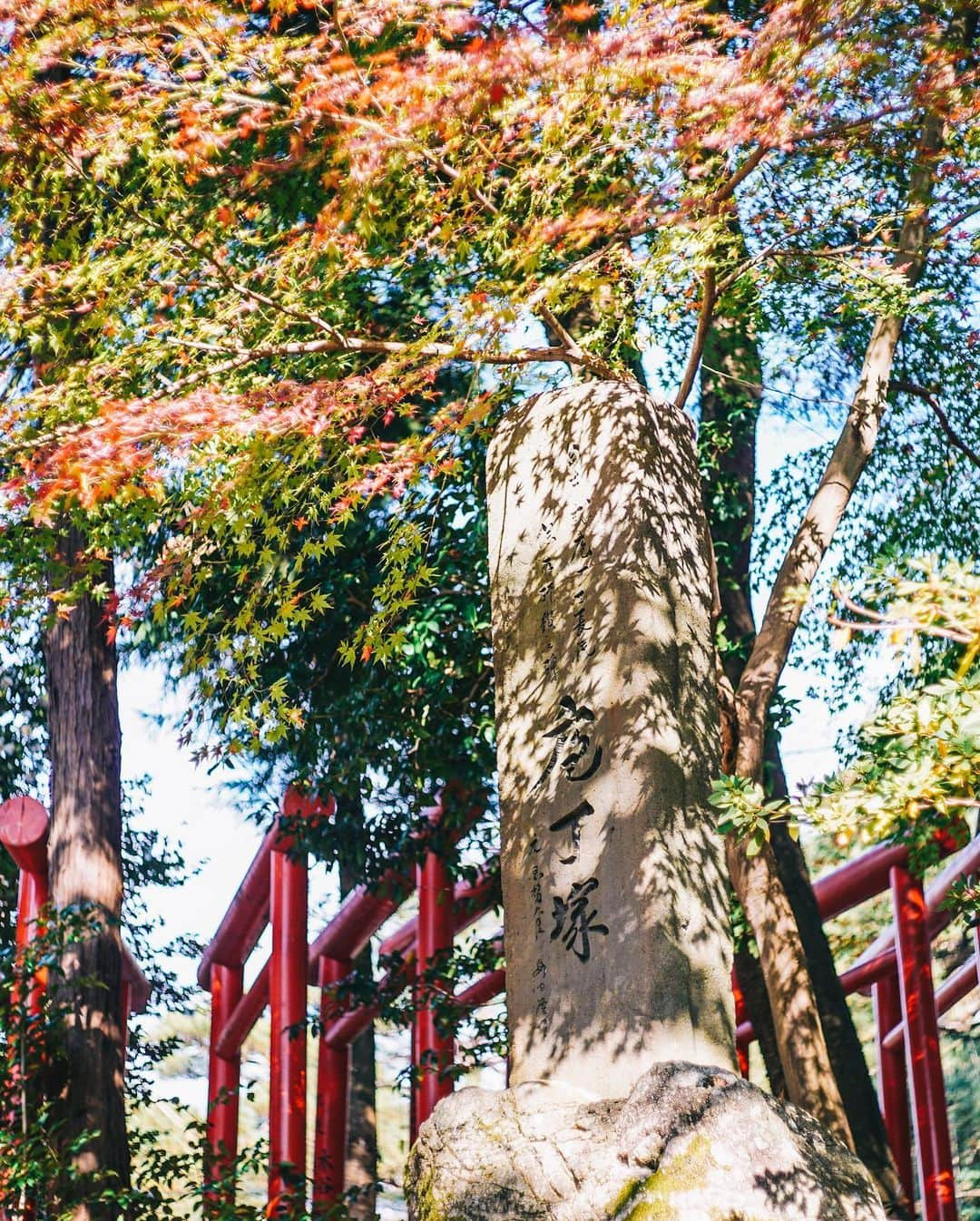 Naokoさんのインスタグラム写真 - (NaokoInstagram)「colorful season in Japan..🍁 * 金沢の街の紅葉は11月中旬くらいだったかな？ 少し終わりかけだったけど それでもいろは紅葉があると ため息が出るくらい美しかった。  #hyattcentrickanazawa  #hyatthousekanazawa  #金沢旅行」12月1日 11時17分 - chiaoking