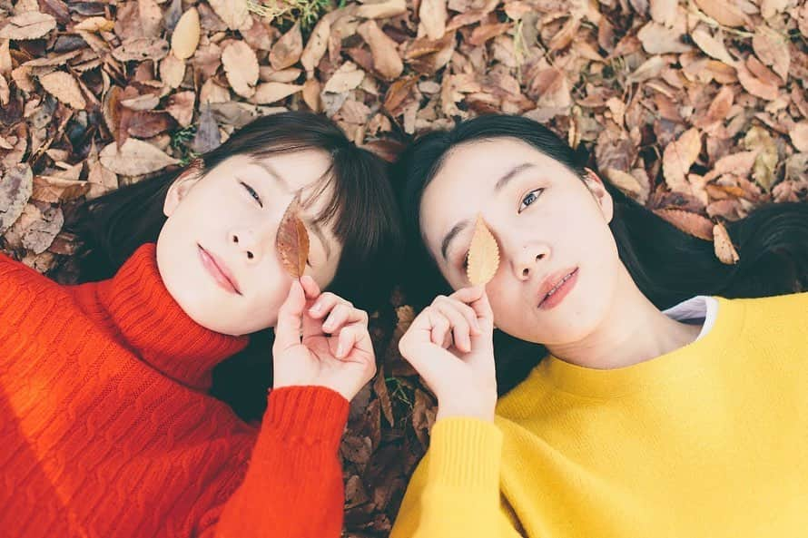 吹越ともみさんのインスタグラム写真 - (吹越ともみInstagram)「えりさんゆりさんと秋散歩🍁 太陽の光がふんわり優しかった日。 ㅤㅤㅤㅤㅤㅤㅤㅤㅤㅤㅤㅤㅤ ゆりさんとは面識はあったものの、ゆっくりお話できたのははじめてでした。 オーディションで会うと「あ、あ、、またね、、！お疲れさまでした、、！！！」みたいなひそひそ話しかできないので😂笑 とてもとても嬉しかったです。 ㅤㅤㅤㅤㅤㅤㅤㅤㅤㅤㅤㅤㅤ そしてわたしは、えりさんがふぃに撮るお顔以外の写真も大好きだったりします。2枚目とか。。！ (伝わっているのか。笑) ㅤㅤㅤㅤㅤㅤㅤㅤㅤㅤㅤㅤㅤ ㅤㅤㅤㅤㅤㅤㅤㅤㅤㅤㅤㅤㅤ 楽しい時間を、本当にありがとうございました🐈 またあげます☺️ ㅤㅤㅤㅤㅤㅤㅤㅤㅤㅤㅤㅤㅤ ㅤㅤㅤㅤㅤㅤㅤㅤㅤㅤㅤㅤㅤ ㅤㅤㅤㅤㅤㅤㅤㅤㅤㅤㅤㅤㅤ #photo#photography#camera#filmphotography#film#autumn#portrait#🍂#🍃#🍂#🍃」12月1日 11時26分 - fukitomo