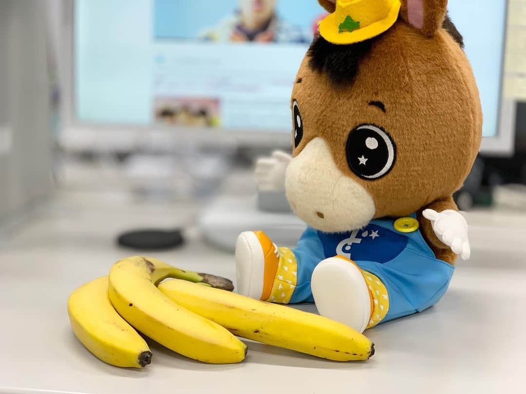 札幌テレビ放送さんのインスタグラム写真 - (札幌テレビ放送Instagram)「あと3日🍌🍌🍌  📺4日（金）よる9時 『#こんな夜更けにバナナかよ　愛しき実話』  #大泉洋 主演の感動実話 #オール北海道ロケ  #高畑充希  #三浦春馬」12月1日 11時33分 - stv_dosanko