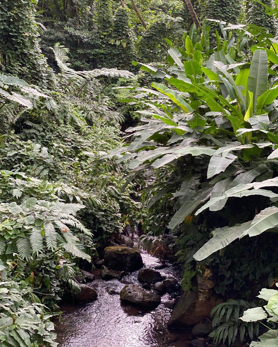 大出千尋のインスタグラム：「.  Deep breath 🌿🍀💫」