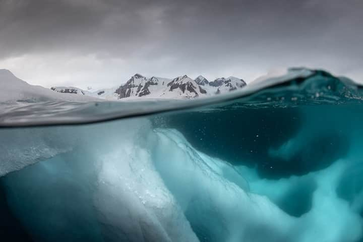 National Geographic Travelさんのインスタグラム写真 - (National Geographic TravelInstagram)「Photo by @daisygilardini / Antarctica is a continent covered by a thick layer of ice and surrounded by an ocean that ices over during the dark winter months, while the Arctic is an ocean partially covered by ice during the northern winter. I first visited Antarctica in 1997 and fell in love at first sight. That made me curious to see the Arctic. They are so different, yet also similar. Both are dangerously addictive. I’ve spent the past 20 years documenting the changes in the polar regions. Each time I’ve been as excited as I was that very first time. I always feel as if ice is flowing in my veins. I can never get enough of it.  Follow me @DaisyGilardini for more images and stories behind the scenes. #conservation #climatechange #Antarctica #iceberg」12月1日 12時34分 - natgeotravel