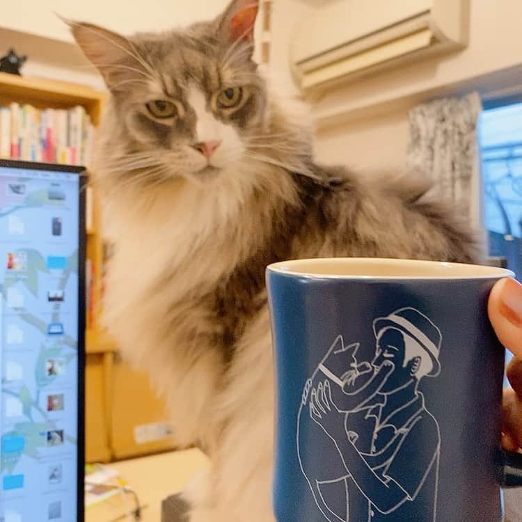 相沢あいのインスタグラム