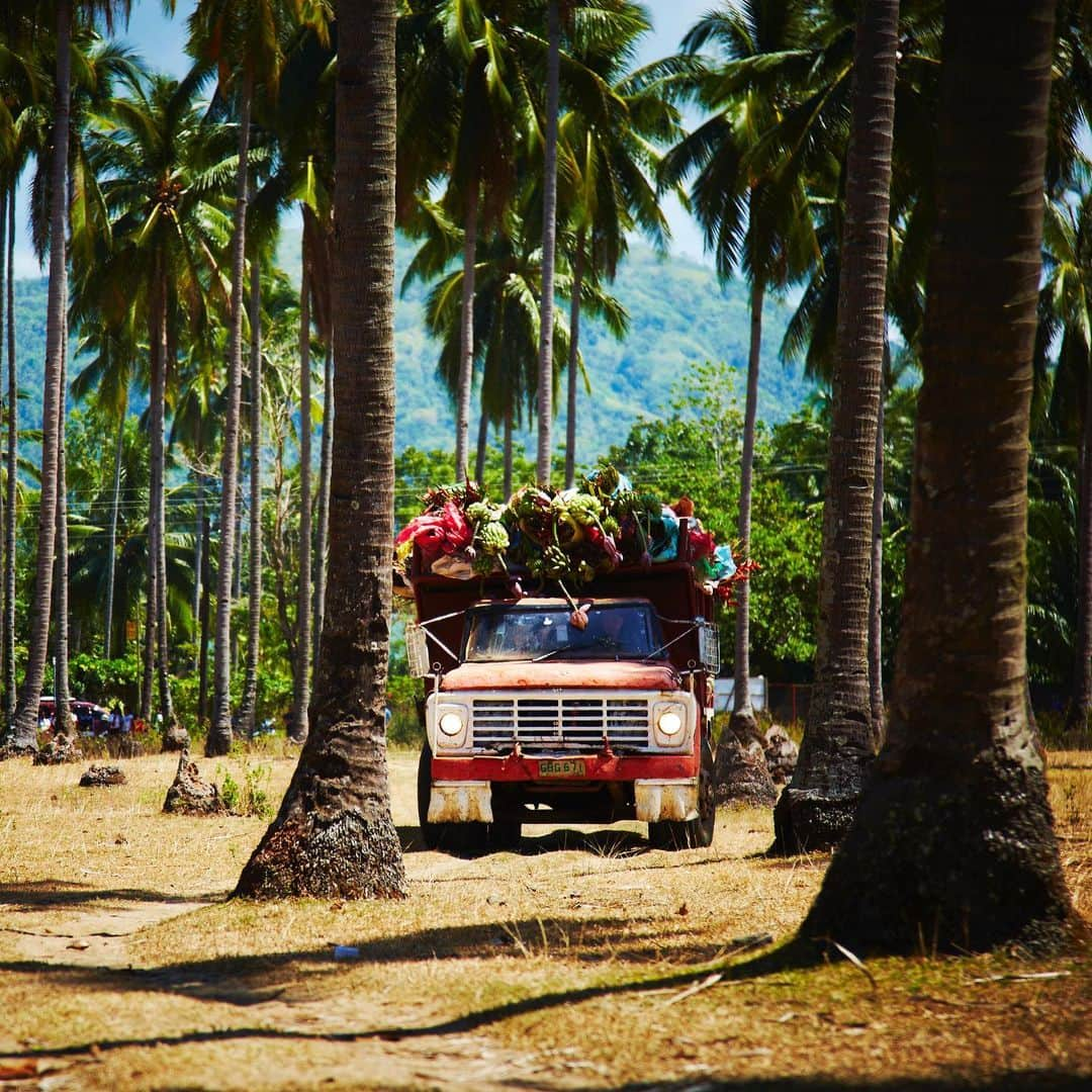 東信さんのインスタグラム写真 - (東信Instagram)「Dagat & Bulaklak (2015)  #azumamakoto  #shiinokishunsuke #amkk #amkkproject #inbloom #philippines #negrosisland #hinobaabsea #東信 #東信花樹研究所 #makotoazuma」12月1日 14時57分 - azumamakoto