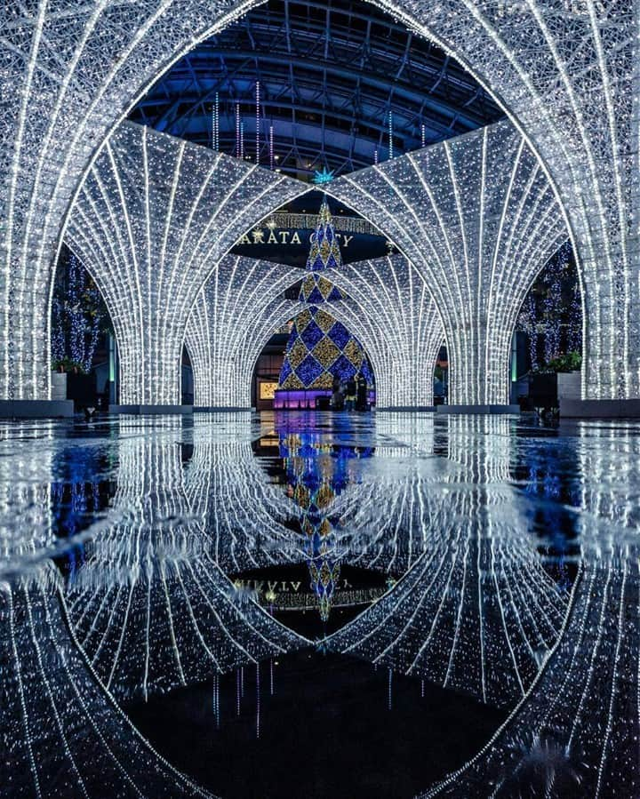 JALさんのインスタグラム写真 - (JALInstagram)「The stunning white lights at Fukuoka Christmas Market will take your breath away. #WorldlyNovember  白く輝く #福岡クリスマスマーケット のイルミネーションに魅了されます🌃 . . Photo by @keitoandkagari Post your memories with #FlyJAL  #JapanAirlines #japan #fukuoka #japan_night_view」12月1日 15時00分 - japanairlines_jal