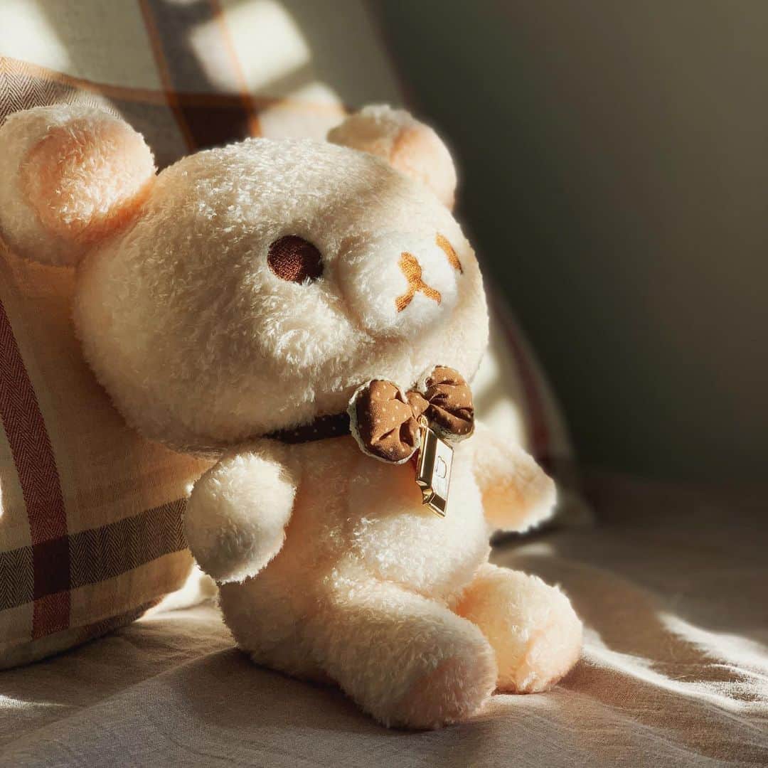 酒井まゆのインスタグラム：「とうとうぬいをお迎えしてしまった😭かわいい〜〜　#コリラックマ #リラックマ  #チョコレートdeファッションショー」