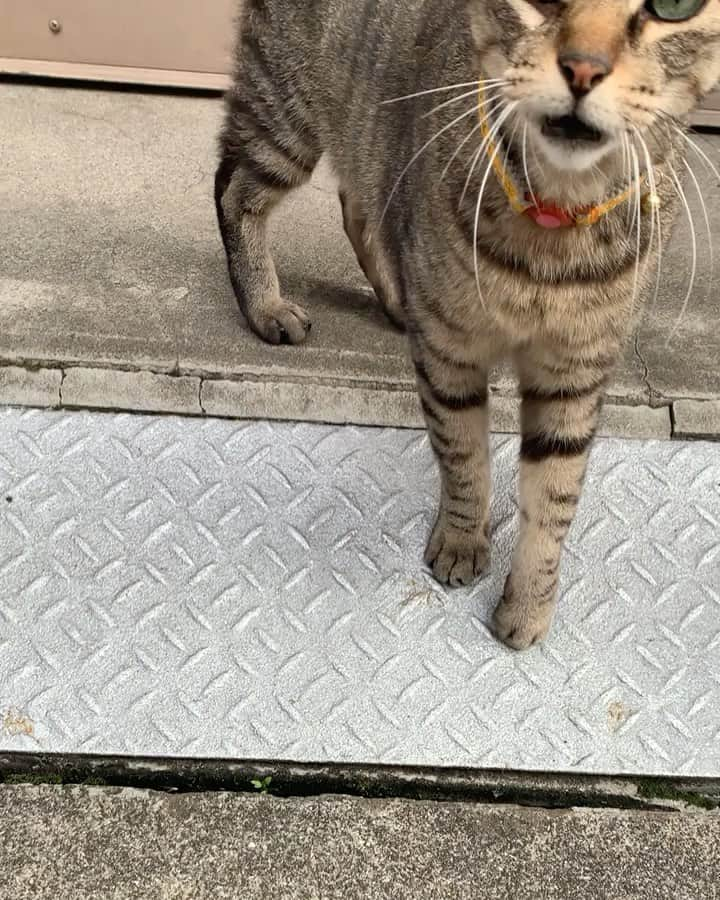 谷花音のインスタグラム