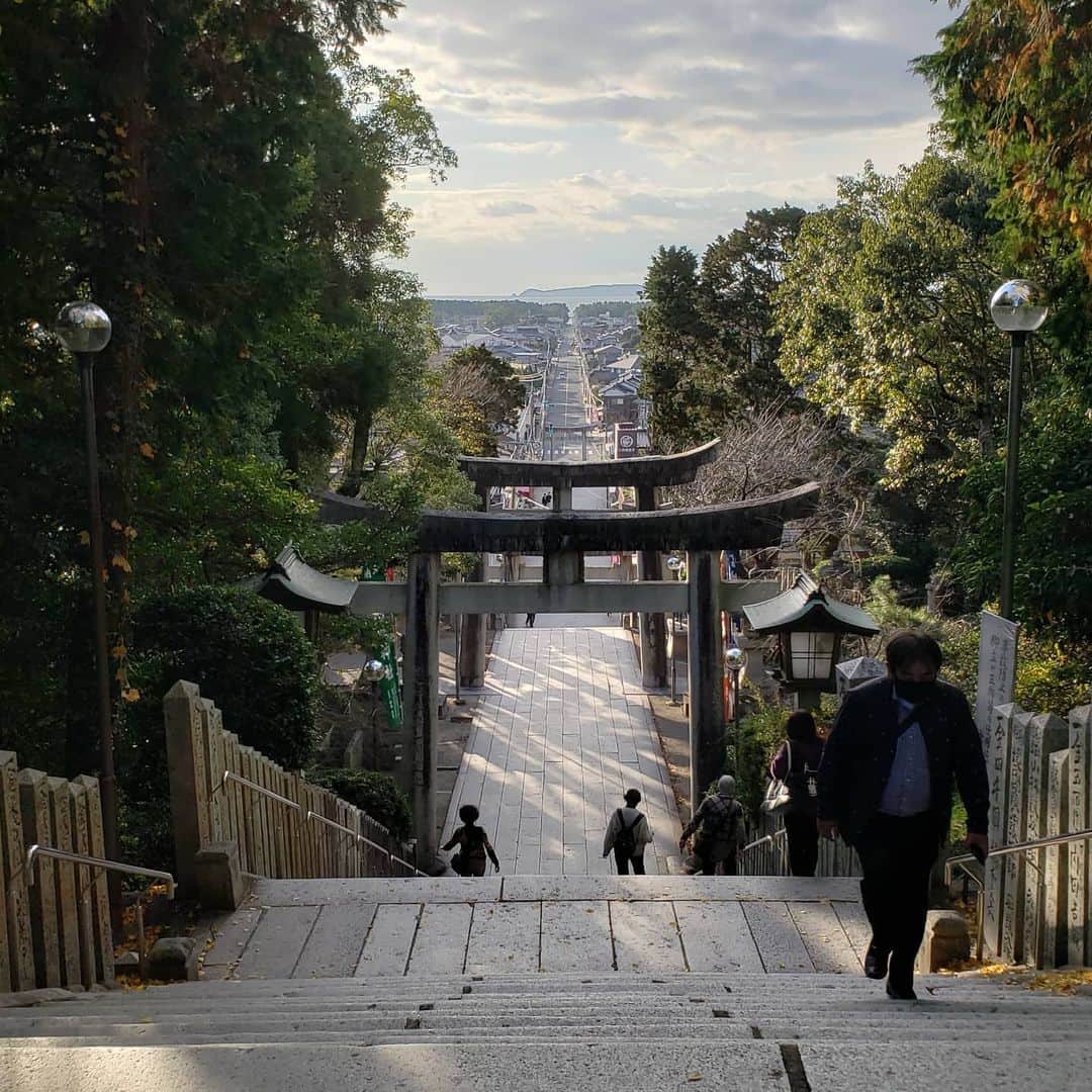 感動猫動画さんのインスタグラム写真 - (感動猫動画Instagram)「フェリー乗り遅れたので近くの神社に行ってみた」12月1日 15時55分 - kandounekodouga