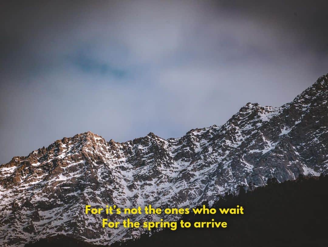 Abhinav Chandelさんのインスタグラム写真 - (Abhinav ChandelInstagram)「Swipe right to read the entire poem, and also mention in comments below, your favourite shots in the series. . . . Mcleodganj winters are a mood of their own, as I stand there staring at the views all around me, watching these mountains lazily come alive on cold days.  And all they say is to breathe, to hear what everything is saying to us, to be alive in your heart, to not let that curious kid die.  To hold on a little more, before the colours of spring happening within you, grip your tightly.」12月1日 16時12分 - abhiandnow