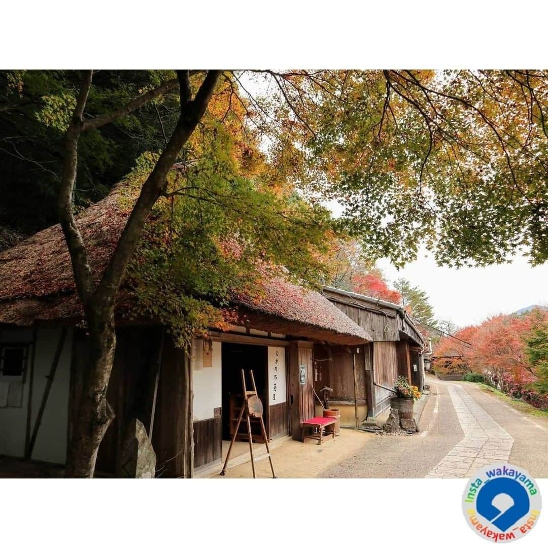 和歌山県さんのインスタグラム写真 - (和歌山県Instagram)「Insta_Wakayamaでは、皆さんがハッシュタグをつけて投稿してくださった写真から、素敵な写真をご紹介させていただきます！ 本日のピックアップは @runrara_kotapukumomo.to.go さんのお写真です☆ ハッシュタグのご利用ありがとうございますm(_ _)m . こちらは田辺市中辺路町にあるとがの木茶屋のお写真ですね👀 茅葺屋根に紅葉。ほっとする一枚ですね✨ とがの木茶屋は熊野古道継桜王子にある休憩所です。 歩く人にやすらぎを与えてくれるそんな場所。秋の紅葉の季節はもちろん四季を通してすてきな景色を見ながら休憩できそうですね。 継桜王子といえば、秀衡桜でも知られています。春になればまた秀衡桜のお写真もお願いしますね。 . . 和歌山に関する投稿には「 #insta_wakayama 」のハッシュタグをつけてください★ 和歌山の魅力を皆さんで発信していきましょう！ ハッシュタグをつけると同時に、写真の場所の記載・位置情報の登録もお願いします🎵 なお、お写真を撮影される際は感染対策を十分に行ってくださいね。 . #とがの木茶屋 #継桜王子 #田辺市 #和歌山県 #和歌山  #toganokijaya #atotsugizakuraoji #tanabe_city #wakayama #insta_wakayama #instameet_wakayama #wakayamagram #nagomi_wakayama #visitwakayama #retrip_news #japan #なんて素敵な和歌山なんでしょう」12月1日 16時19分 - insta_wakayama