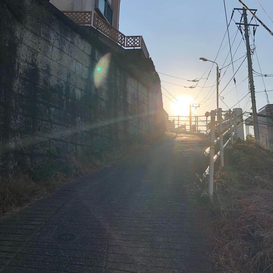 櫻井リヤさんのインスタグラム写真 - (櫻井リヤInstagram)「街歩き仲間に教えてもらった本町三丁目あたりを散歩。素晴らしい高低差。猫がたくさん日向ぼっこしていた #坂道#スリバチ#渋谷区」12月1日 16時39分 - liya_sakurai