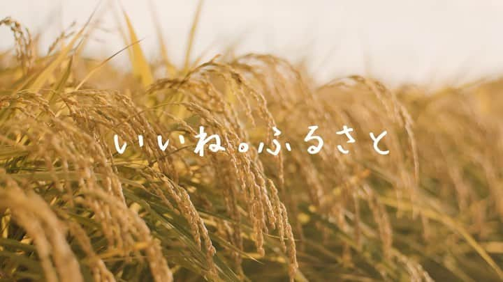 武田梨奈のインスタグラム：「🚌 佐賀県上峰町のTVCM「いいね。上峰」篇 に出演しています🤗🌾 本日より地上波（東京、福岡、佐賀）でオンエア開始です。 いいね。かみみね！  #佐賀県上峰町 #CM #moumoon」