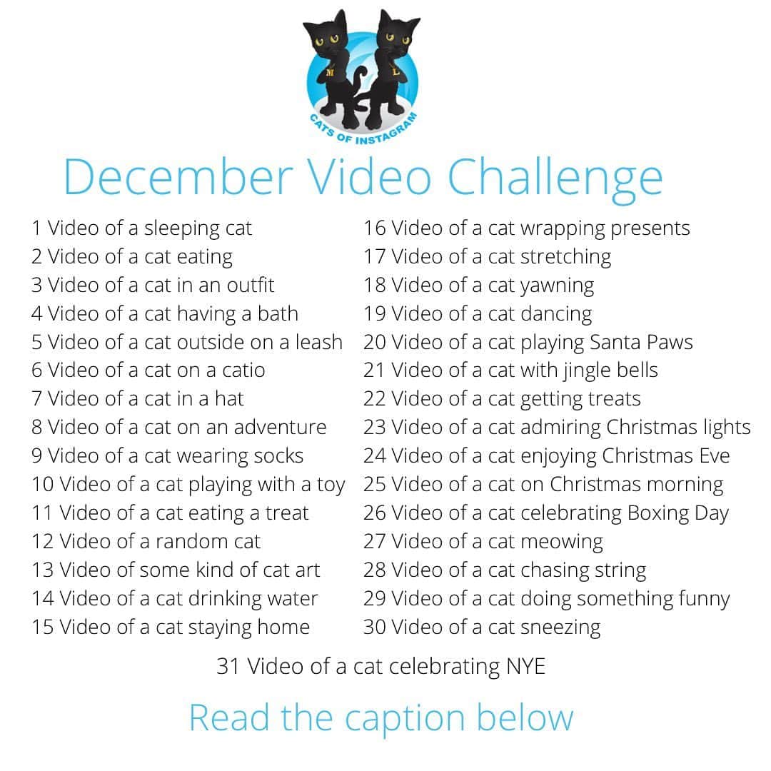 The Cats Of Instagramのインスタグラム：「Welcome to the #COIVideoChallenge!   Starting today and for each day in December we have a video idea for our challenge - please post old or new videos that fit into each challenge as you interpret them. Be creative, be weird and have fun.   •These challenges are open to your interpretation so please have fun with them! There is no wrong way to participate  •Tag #COIVideoChallenge and @catsofinstagram so we can share your pawsome videos (unfortunately we can’t see your videos if you’re a private account)  •Post as often as you like ❤️ •There are no rules •Share this post so your furriends can join in  If you have any questions, please ask them in the comments below 👇🏼 and I’ll do my best to answer them」