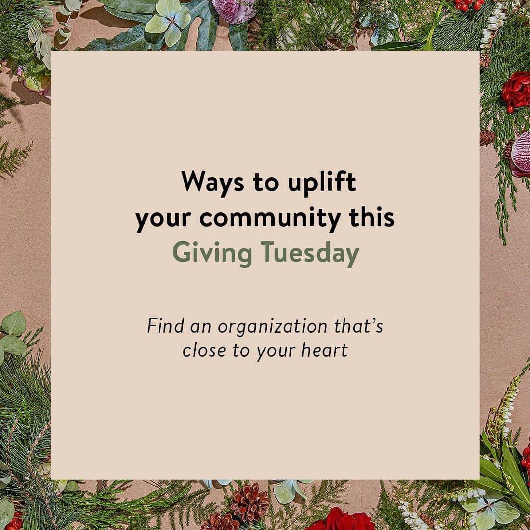 The Honest Companyさんのインスタグラム写真 - (The Honest CompanyInstagram)「This #GivingTuesday we’re partnering up with five organizations that support our local communities + outlined a few ways you can get involved (and stay involved) throughout the year.⁣ ⁣ Click the 🔗 in bio to learn more about them + consider lending your time to a worthy cause. 💞」12月2日 3時00分 - honest