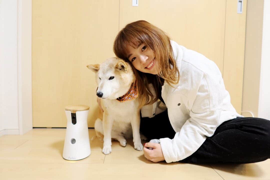 hoshinofumikaのインスタグラム：「愛犬ユキとの生活。 本格的に一緒に住むようになって お留守番も上手にしてくれるんだけど、なんだか心配で急いで帰ったり🚘💦 出先でも気になっていましたが、 ドックカメラ 【ファーボ】を使ってから全くその不安がなくなりました💓 出先でいつでも見れるし、声がけ、おやつあげができます😊 普段見れない一面をこっそりみれるのも 魅力の一つ📱❤️ 吠えたり、アクション、誰かが帰ってくると携帯に通知が来るのでドックカメラだけでなく、 防犯カメラとしてもいいかも😆！ そんなわたしの信頼を置く ドックカメラファーボが！年に一度の衝撃プライス！！ 10,500円OFFの最安値でファーボをゲットするチャンス、プロフィールのURLから確認してくださいね♪🐶  @furbo_japan #Furbo #ファーボ　#ドッグカメラ　#ドッグシッター　#PR」