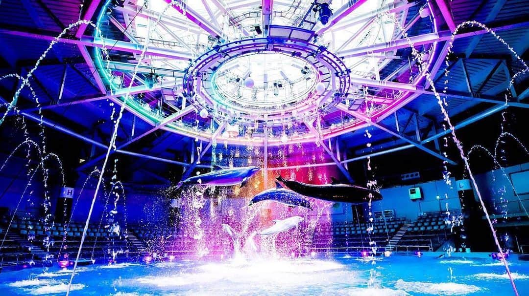 のインスタグラム：「. ご好評につき本日より追加販売開始！ . 《12/19・25の2日間限定》 Dolphin night christmas 2020 . ご好評につきお選びいただけるレストランを追加いたしました！ . 詳しくは公式HPよりご確認ください。 . Share your own images with us by tagging @shinagawaprincehotel ________________________________________ #クリスマス#クリスマスプラン #貸切プラン #水族館貸切 #クリスマスステイ #大人のクリスマス #イルカショー  #ホテルディナー #クリスマスディナー #品川大飯店 #クリスマスデート #gotoキャンペーン#gotoトラベル#gotoトラベルキャンペーン #記念日旅行 #水族館 #デジタルアート#品川プリンスホテル #マクセルアクアパーク品川 #アクアパーク品川#品川 #東京 #プリンスホテル #shinagawaprincehotel #princehotels #MaxellAquaParkShinagawa #tokyo #shinagawa」