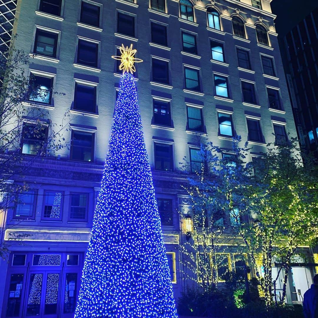 のインスタグラム：「タベルナウオキン京橋店の前には 立派なツリーが ライトアップされました🎄 一気に12月の雰囲気ですね  銀座線京橋駅直結　 エドグラン京橋一階にあります。 是非お越しください  銀座からも東京駅八重洲口からも 歩いてすぐです！  #魚金 #銀座ディナー#京橋ランチ #八重洲グルメ #ライトアップ綺麗 #雰囲気作り #イタリアンバル」