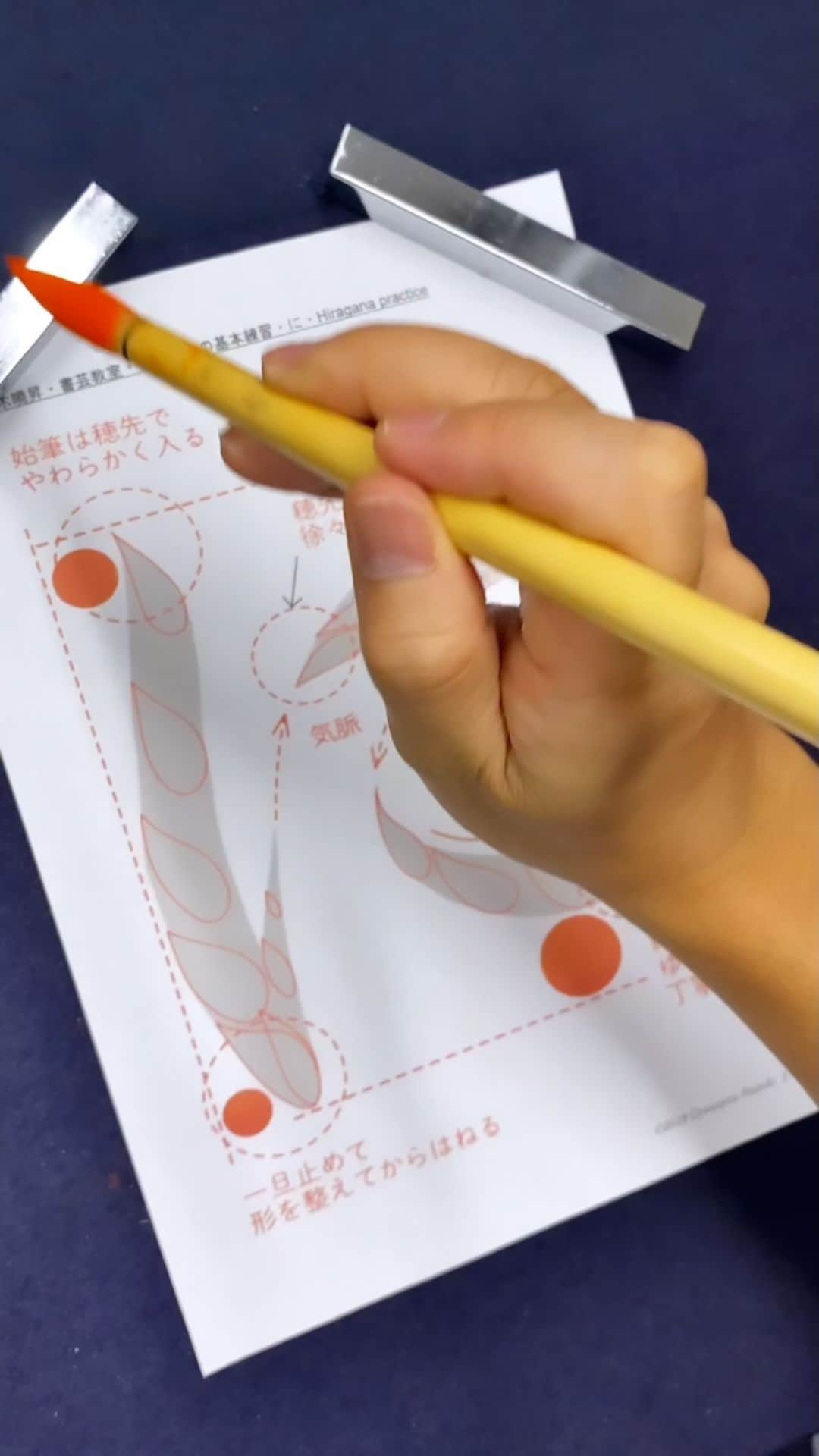 鈴木暁昇のインスタグラム：「最近Instagramのねこ動画に癒されてます 　 #ねこ派#いぬ派#習字#書道」