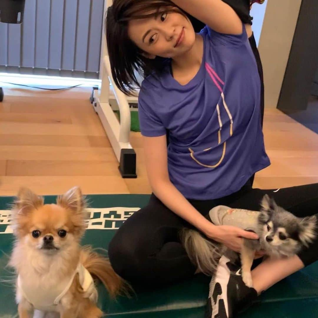 伴杏里さんのインスタグラム写真 - (伴杏里Instagram)「Training with Dog at #slowstylegympremium  新しい生活様式✨ わんちゃんと一緒にジムでトレーニング🐶 #スロースタイルジム   @nspa.asia  #slowstylegym  #training  #dog #premium #fitness  #withdog」12月1日 19時33分 - anri.ban