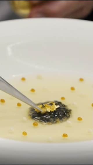 THE WESTIN KYOTO ウェスティン都ホテル京都のインスタグラム：「Le RESTAURANT    ドミニク・ブシェ　キョート「Le RESTAURANT」 ゴールドのカラーで統一された店内。ドミニクシェフをはじめ、チームでご提供するお料理はみなさまに非日常の時間をお届けいたします。    Tag #westinmiyakokyoto to share your images with us !  #インクライン #fushimiinari　#heianshrine #konkaikomyoji　#kiyomizudera #nanzenji　#南禅寺 #寺巡り #explorekyoto #kyototravel #京都フレンチ #京都グルメ #フレンチ #dominiquebouchet #京都ディナー #京都ごはん #京都散策 #amazingkyoto #京都観光 #ミシュラン #ウェスティン都ホテル京都　#dominiquebouchet #dominiquebouchettokyo #dominiquebouchetkyoto #都ホテル #miyakohotels #都酒店和度假村」