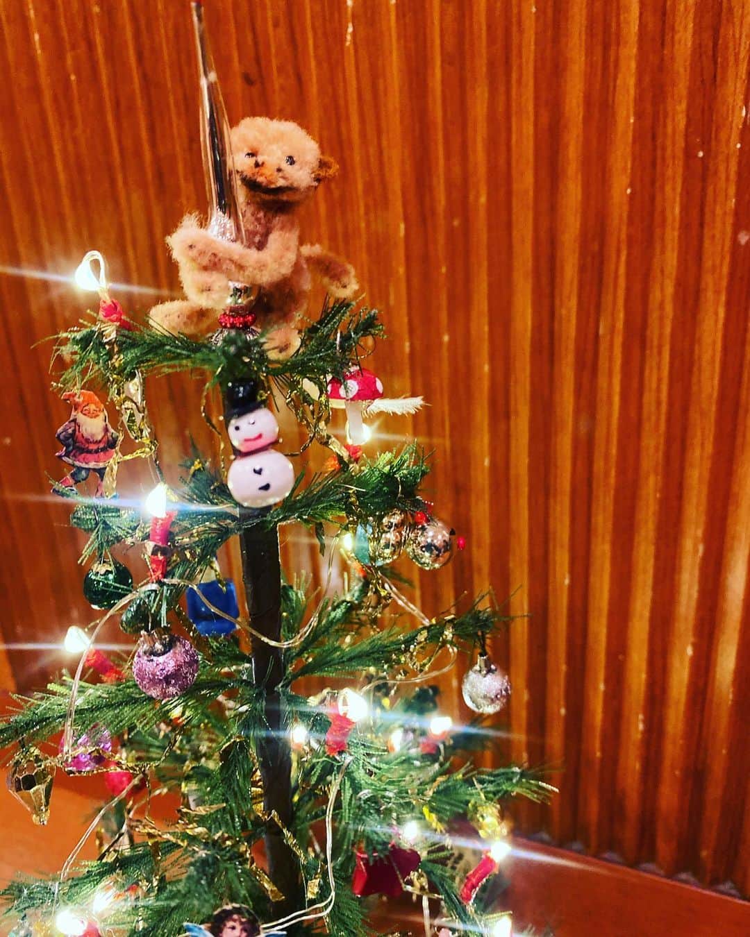 緒月遠麻さんのインスタグラム写真 - (緒月遠麻Instagram)「☺︎ 師走！！  真波そらの 買い物がとまらない。  クリスマスツリー  サル  シルバニアの子ネコ  世界観が 止まらない。  #12月 #真波そら #クリスマスツリー #かわいい」12月1日 20時34分 - toma_ozuki