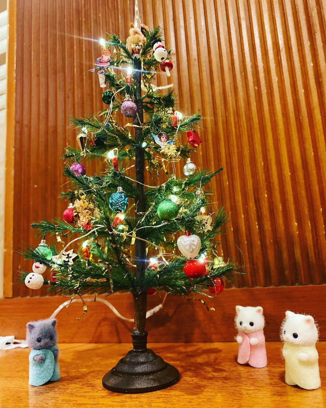 緒月遠麻さんのインスタグラム写真 - (緒月遠麻Instagram)「☺︎ 師走！！  真波そらの 買い物がとまらない。  クリスマスツリー  サル  シルバニアの子ネコ  世界観が 止まらない。  #12月 #真波そら #クリスマスツリー #かわいい」12月1日 20時34分 - toma_ozuki