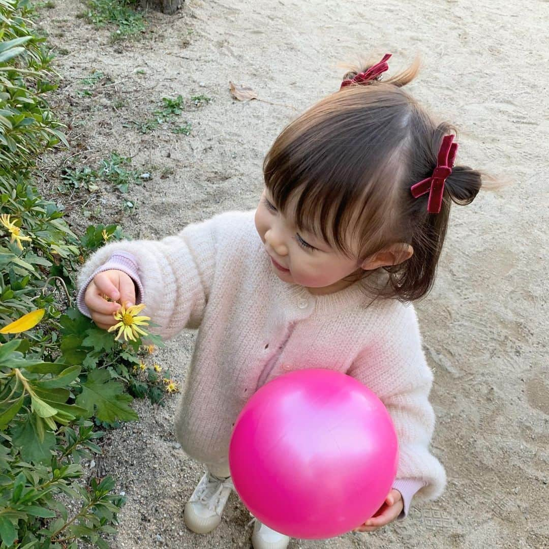 保木ちひろのインスタグラム：「お花見て「かあいぃ」言ってた🌼 いつも癒しをありがとう🥺🌿 ・ 最近髪が伸びて結ぶ事増えたから 新しくヘアアクセ調達🎀 @marcy_jp_」