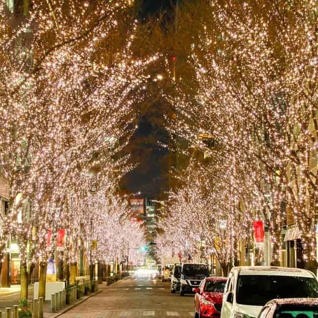 オズモール編集部さんのインスタグラム写真 - (オズモール編集部Instagram)「【丸の内がシャンパンゴールドの輝きに包まれる☄丸の内イルミネーション】 冬の夜を彩るライトアップといえば、イルミネーション。今回は、編集部おすすめの都心＆東京近郊のイルミネーションスポットをご紹介🎄  2020年11月5日（木）から2021年2月14日（日）まで、丸の内エリアのメインストリート、丸の内仲通りを中心に「丸の内イルミネーション 2020」が開催される。  イルミネーションには、従来品に比べて65%も使用電力を削減したエコイルミネーションを使っていたが、2014年度からはさらに30%カットできる「NEWエコイルミネーション」を約103万球に採用。加えて、丸の内仲通りで期間中に使用するすべてのエネルギーにグリーン電力を使っているから、より環境に優しい。2016年には「日本夜景遺産」にも認定されており、美しさもエコも折り紙つき。  また、2020年は、新型コロナウイルス対策として、例年17時からだった点灯時間を早め、15時からライトアップ。混雑を避けながら、ゆったりと丸の内の冬の風物詩を堪能しよう。  詳しくは「オズモール　イルミネーション」で検索、またはストーリーズのURLをチェックしてみてくださいね☺️ㅤ @ozmall_editors #オズモール #ozmall #クリスマス #イルミネーション #ホリデーシーズン #イルミ #クリスマスイルミネーション #丸の内イルミネーション #日本夜景遺産 #イルミネーション #丸の内 #夜景 #illumination」12月1日 21時00分 - ozmall_editors