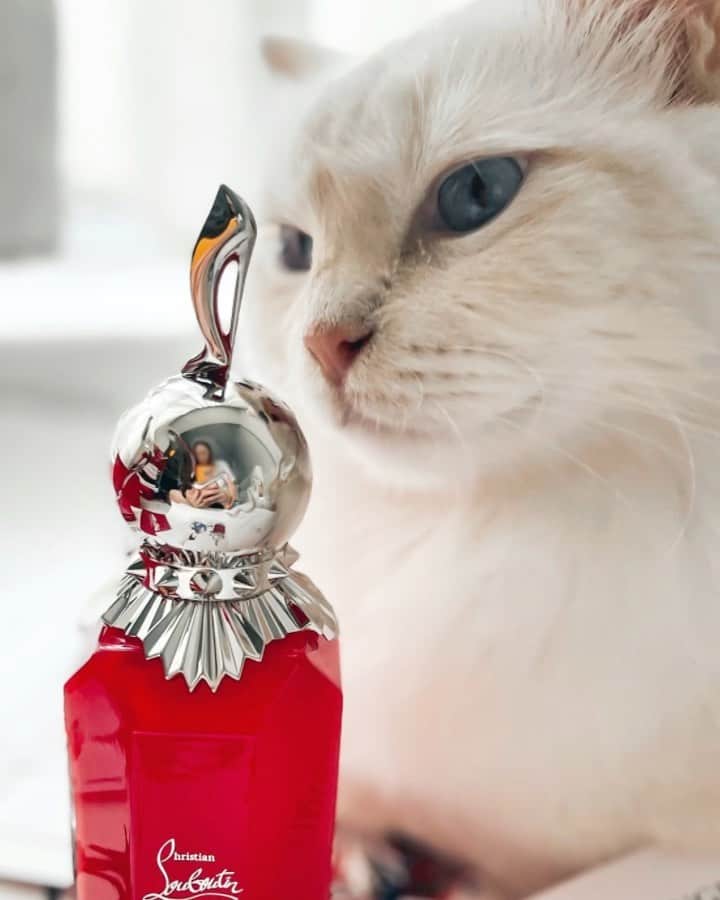 Ruby Kwanのインスタグラム：「It’s December. And it’s time for some magic. ❤️ @louboutinbeauty brought me to their magic world with #LoubiRouge. 👠 An Oriental Spicy cabaret of the senses. Follow the red soles into the glamorous Paris. 💫 My #Qoony is super obsessed. 😸💯✨ #ChristianLouboutin #LouboutinBeauty #Loubiworld #rougeclosetbeauty」
