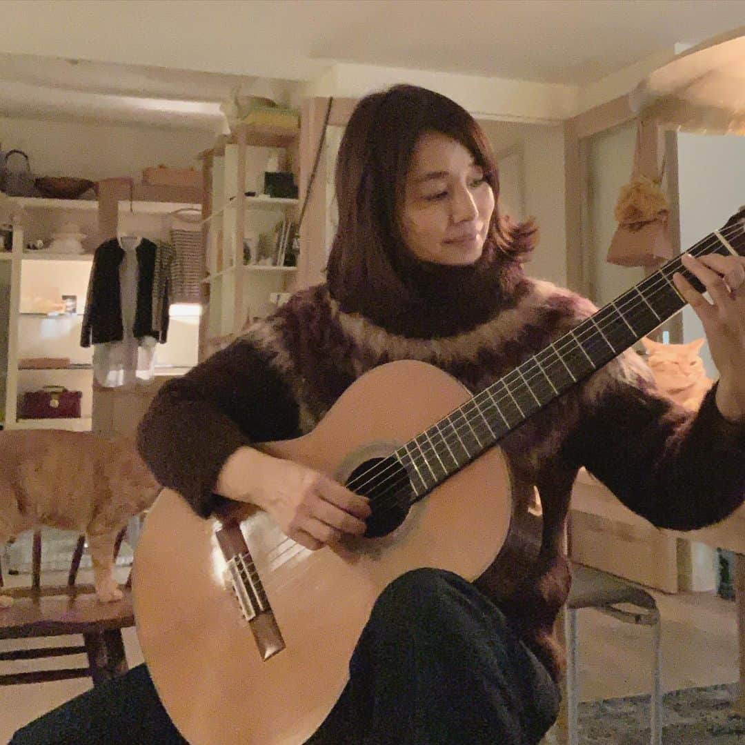 石田ゆり子さんのインスタグラム写真 - (石田ゆり子Instagram)「忙しさを理由に ギターの練習をサボっていた。 いや、違う！ ほんとに忙しかったのだ。 12月になり少し スケジュールが落ち着くので 頑張ります。 目標は高く 志は高く‼️ #ゆりごろうギターレッスン」12月1日 21時02分 - yuriyuri1003