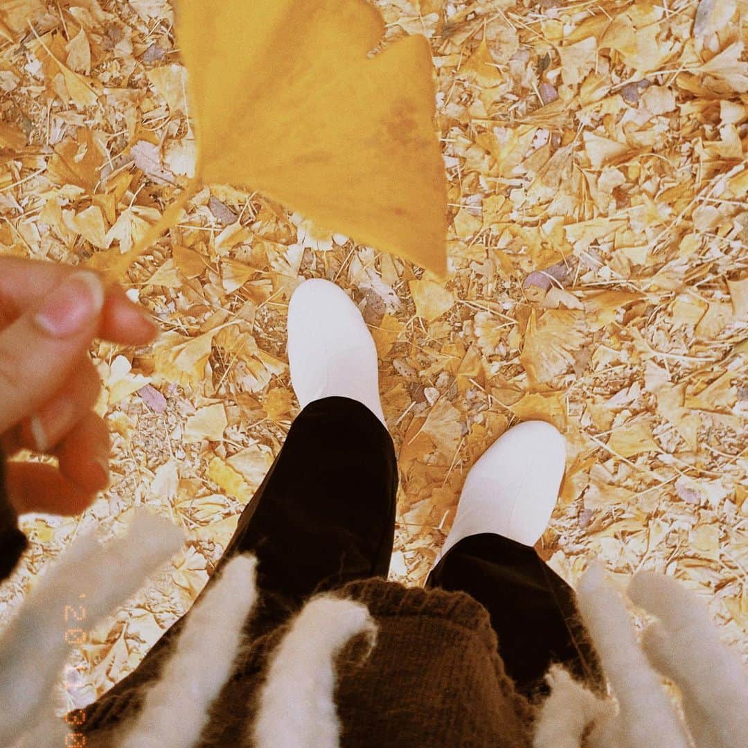 鈴木楓恋さんのインスタグラム写真 - (鈴木楓恋Instagram)「黄色い絨毯」12月1日 21時07分 - _karendayo_