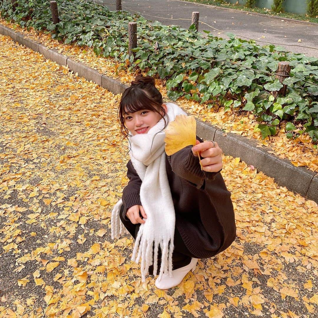 鈴木楓恋さんのインスタグラム写真 - (鈴木楓恋Instagram)「黄色い絨毯」12月1日 21時07分 - _karendayo_