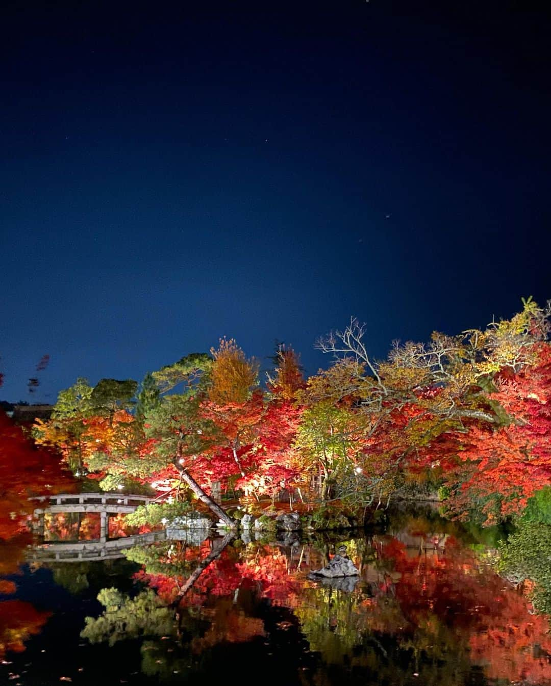 西條 祐也のインスタグラム：「Autumn leaves.」