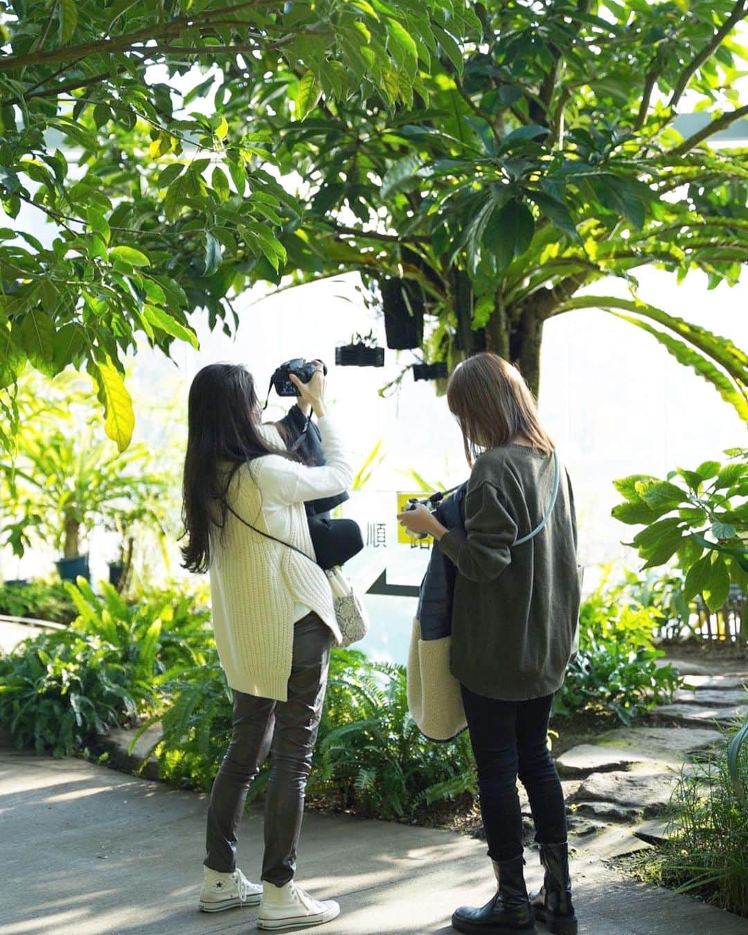 chinatsu614さんのインスタグラム写真 - (chinatsu614Instagram)「Greenhouse photography.﻿ ・﻿ ・﻿ ・﻿ ﻿ カメラ師匠に教えてもらい﻿ マニュアル撮影の練習。﻿ ﻿ 楽しかったー♩﻿  知らない機能がまだまだある...笑 ﻿ ・﻿ ・﻿ ・﻿ #オート撮影 卒業したい笑﻿ #マニュアル撮影練習中 ﻿ #カメラ女子 ﻿ #カメラ会﻿ #おしゃんぽ﻿ #新宿御苑﻿ #おでこ光りすぎ 笑」12月1日 21時19分 - chinatsu614