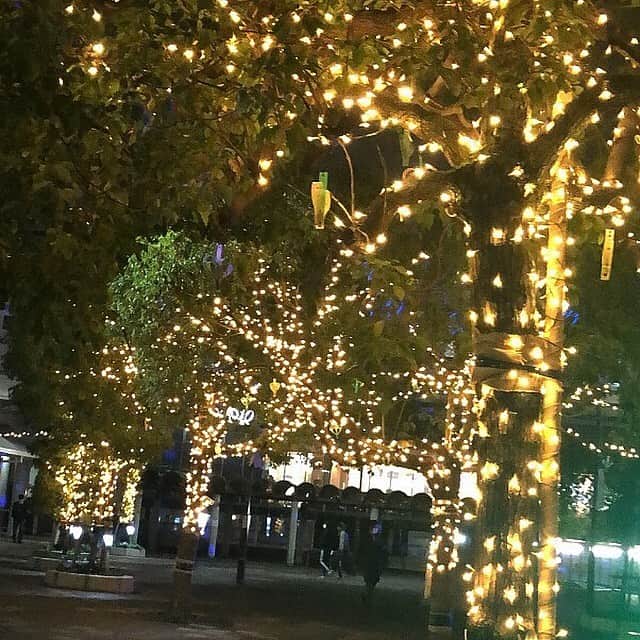 新田湖子さんのインスタグラム写真 - (新田湖子Instagram)「. クリスマスが今年もやってくる〜 🎄💝」12月1日 21時44分 - coconitta0809