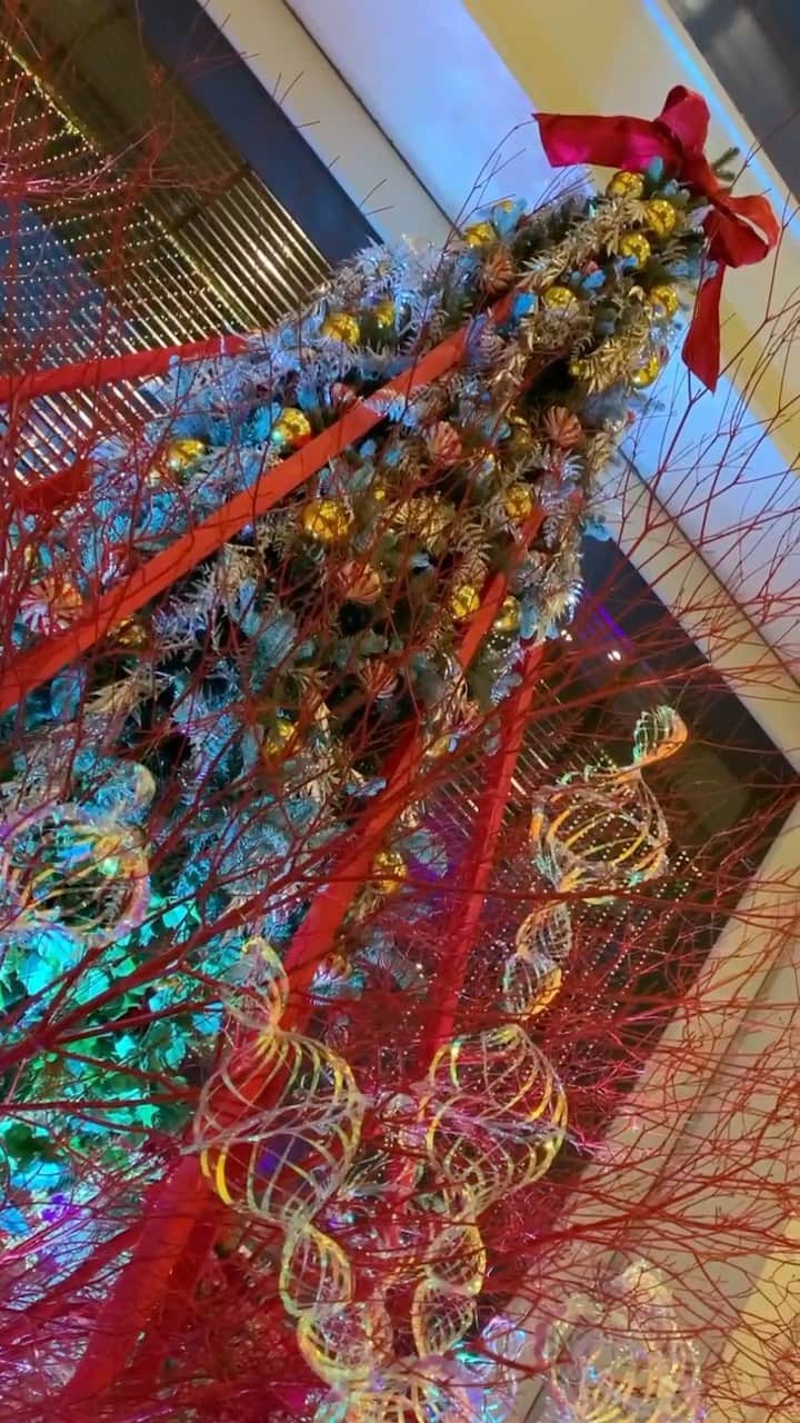 のインスタグラム：「クリスマスはもうすぐそこです🎄  Chirstmas is just around the corner.  Share your own images with us by tagging @shinagawaprincehotel ————————————————————— #クリスマス #クリスマスツリー #メリークリスマス #ハワイ #ハワイアンクリスマス #品川プリンスホテル #プリンスホテル #東京#品川 #shinagawaprincehotel #princehotels #tokyo #shinagawa」