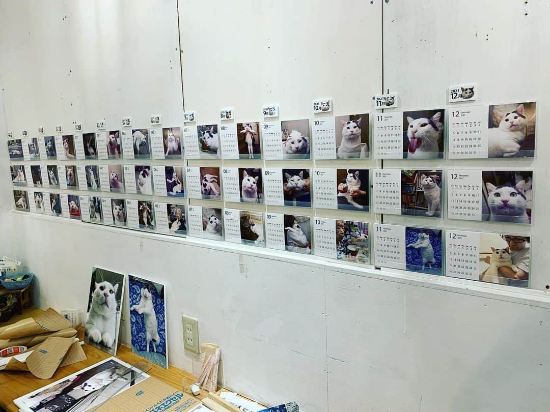 Kachimo Yoshimatsuのグルメインスタ