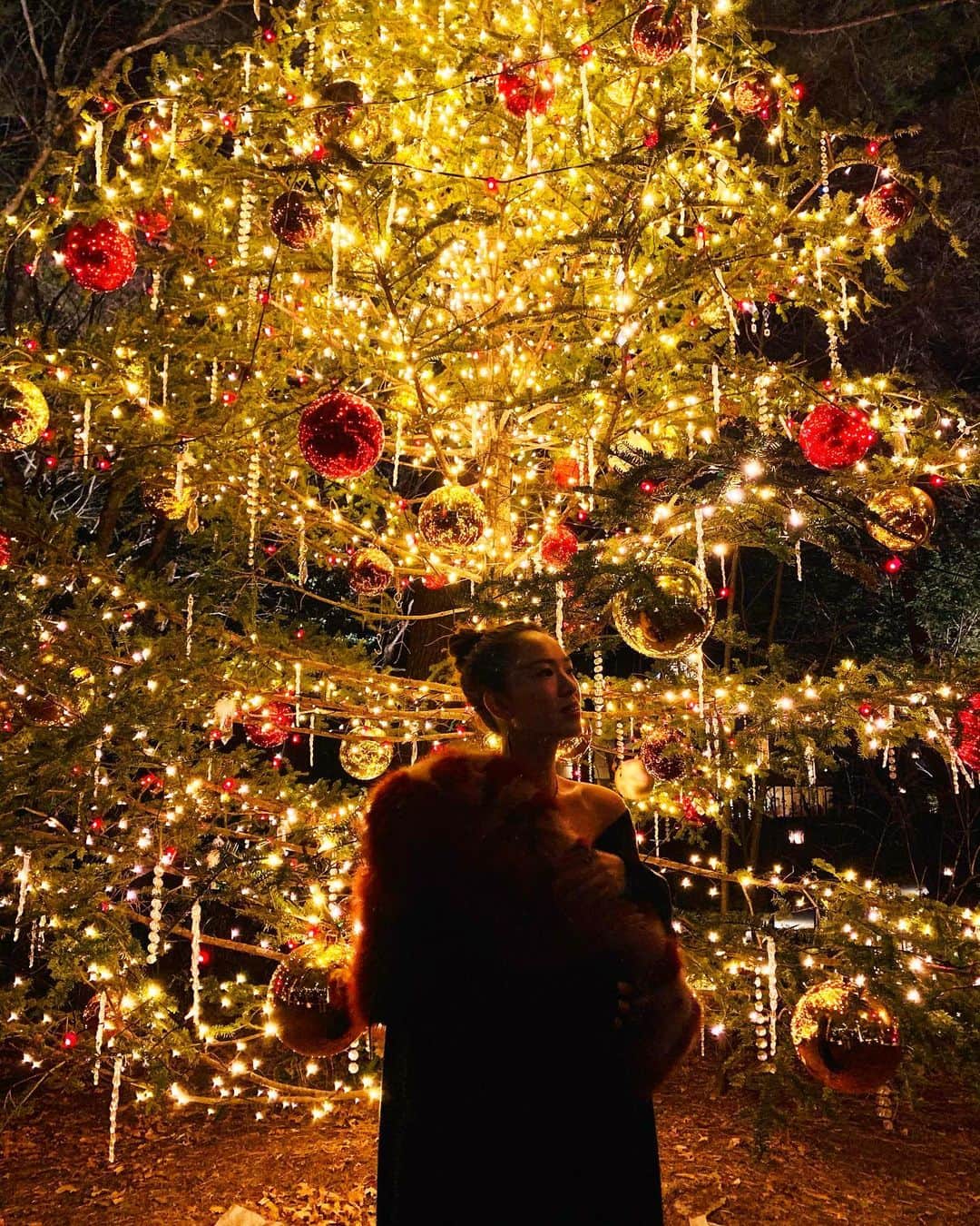 西内ひろさんのインスタグラム写真 - (西内ひろInstagram)「in Karuizawa 12月1日。 クリスマスシーズン突入ですね🎄  @karuizawa_hotelblestoncourt   #西内ひろのオススメ旅  #イルミネーション #クリスマス #クリスマス先取り  #クリスマスツリー #軽井沢 #夢の中みたい #冬 #xmas  #xmastree」12月1日 21時48分 - 0214hiro