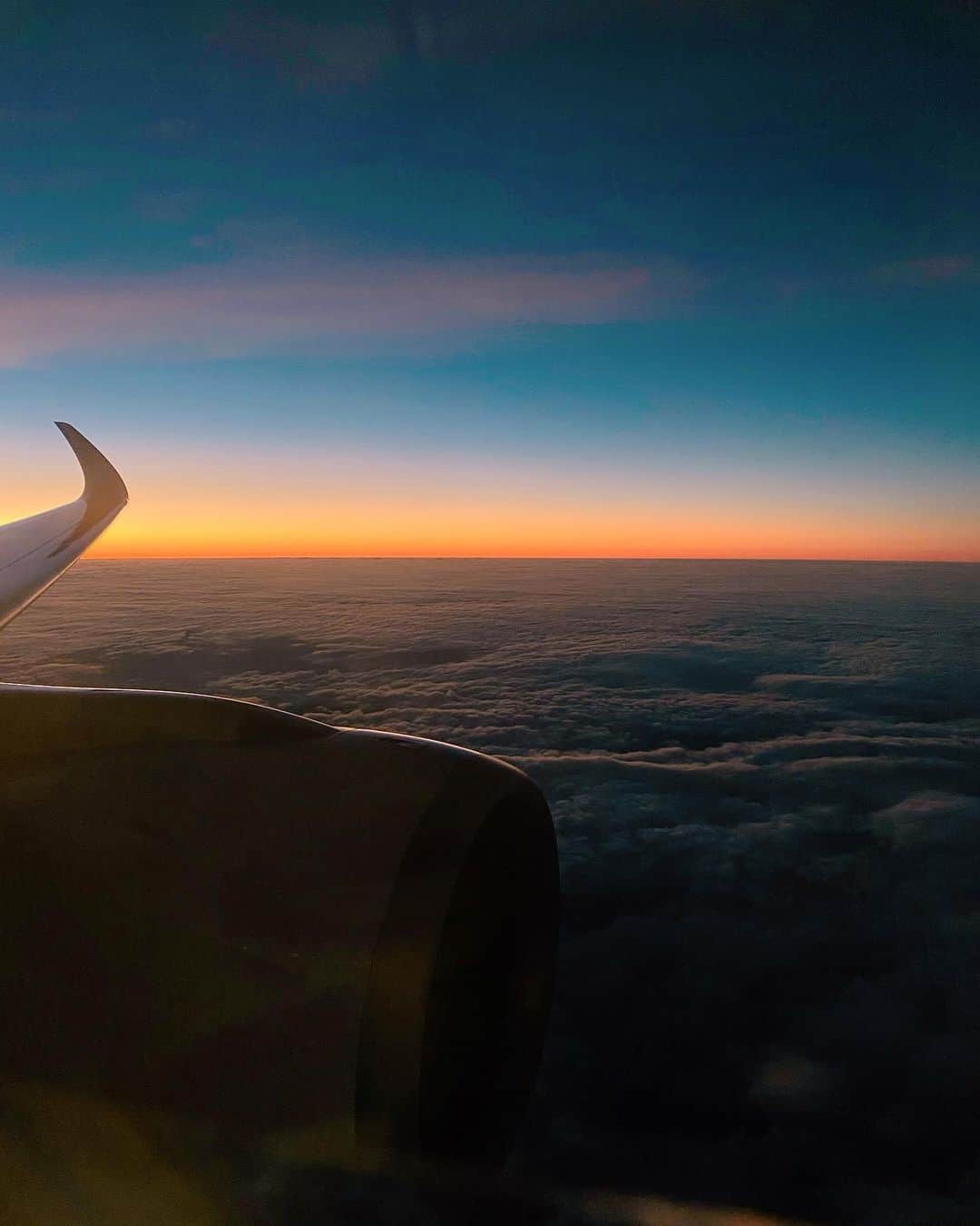 山中美智子さんのインスタグラム写真 - (山中美智子Instagram)「ただいま戻りました🌙  いっぱい写真撮り過ぎてどしよ📸  これは今日飛行機でみたSunset✨  JALのお姉さんがALEXIA着てますって話しかけてくれました🥺✨  とても嬉しかったです🦋  素敵な空の旅にしてくださってありがとうございました✈︎✨  明日からまたいっぱい頑張れます😊」12月1日 21時49分 - alexiastam1988
