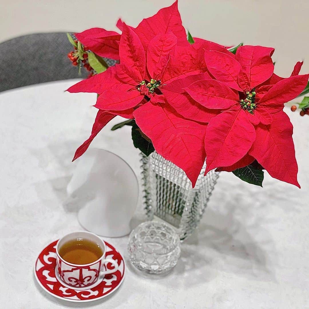 のインスタグラム：「今日から12月なので、クリスマスらしいポインセチアを飾りました🎅🏻🎄❤️  お花や食事で季節感を取り入れるのが大好きです🥰  #december #christmas #xmas #baccarat #hermes #ポインセチア #クリスマス #12月 #お花 #お花のある暮らし #バカラ #エルメス」
