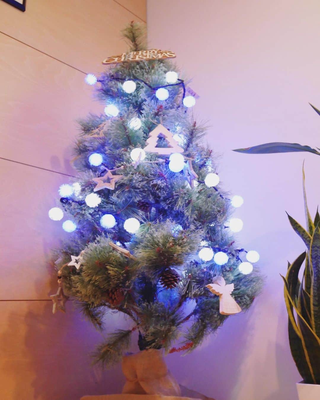 本田朋子さんのインスタグラム写真 - (本田朋子Instagram)「クリスマスツリー。 ナナさんもサンタさんのおもちゃでクリスマス気分を♡  #今日から12月  #クリスマスツリー  #mood  #チワワ #犬のおもちゃ #サンタさんのお腹 #ぴこぴこ鳴って #夢中です」12月1日 22時13分 - tomoko_honda_official_phonics