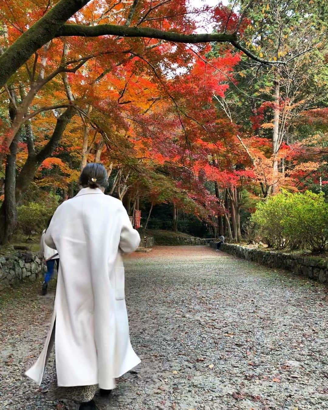 北岡りえのインスタグラム：「落ち葉が増えて家やお店の周りも 冬支度な12月🍁  今年最後の月、お会いできる日を楽しみにしています😌」