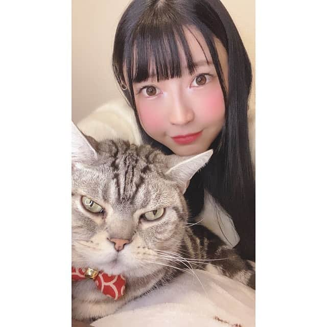 みねりお(旧：柴咲 凛)さんのインスタグラム写真 - (みねりお(旧：柴咲 凛)Instagram)「12月も、よろしくお願いします🐈🦕💜✨  #イチナナ #黒髪 #12月 #愛猫 #アメリカンショートヘア #乳柱隊 #100cm超え #みねりお #みねパイ #リアル峰不二子 #撮影会 #グラビア #グラビアアイドル #グラドル自画撮り部 #タレント #インスタグラビア #カメラ #ポートレート #わっしょい #Kカップ #わがままボディ #おっぱい #爆乳 #sexy #１ミリでもいいなと思ったらいいね #ポールダンス #ポールダンス女子 #ストレッチ #柔軟 #筋トレ」12月1日 22時24分 - mine_rio