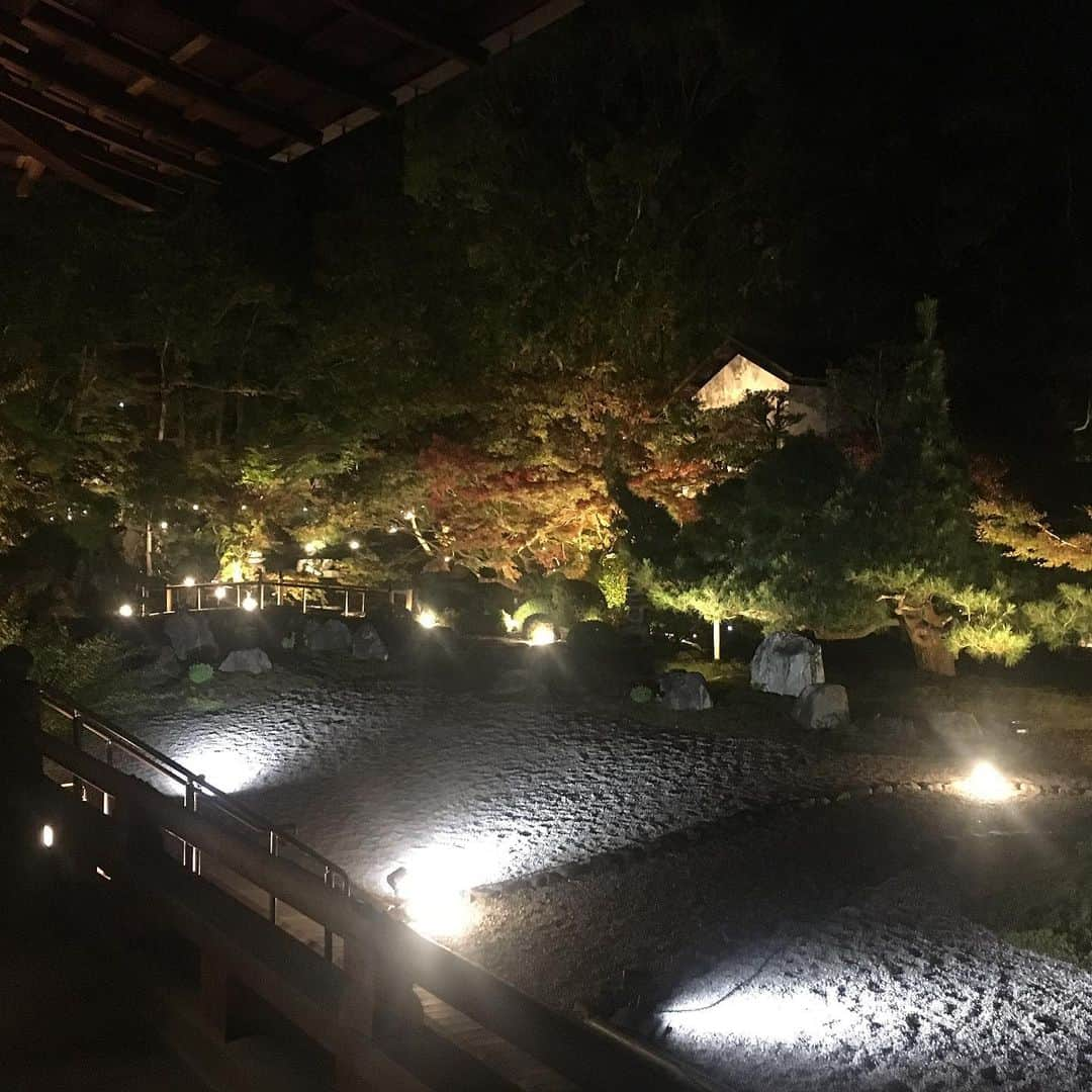 佐藤華純さんのインスタグラム写真 - (佐藤華純Instagram)「.  【 #金戒光明寺 】  『金戒光明寺特別夜間拝観』が12/6まで開催されています🍁  綺麗なお庭で紅葉が見ることができます🤗   京都に紅葉を見に来られる際には、金戒光明寺(@kurodani1175)に是非〜！！  supported by @takamibridal_wakon  ーーーーーーー #みんポチ ーーーーーーー  本日も投票お願いします✌🏻🔥 プロフィールに貼っているURLから、LINE認証をして投票お願いします！  #ミスキャンパス立命館2020 #MCR2020  #立命館 #立命館大学 #京都 #女子大生  #ミスキャン #ミスコン #ファイナリスト  #くろ谷さん #金戒光明寺 #紅葉 #特別夜間拝観 #浄土宗」12月1日 22時40分 - mcr2020_02sk