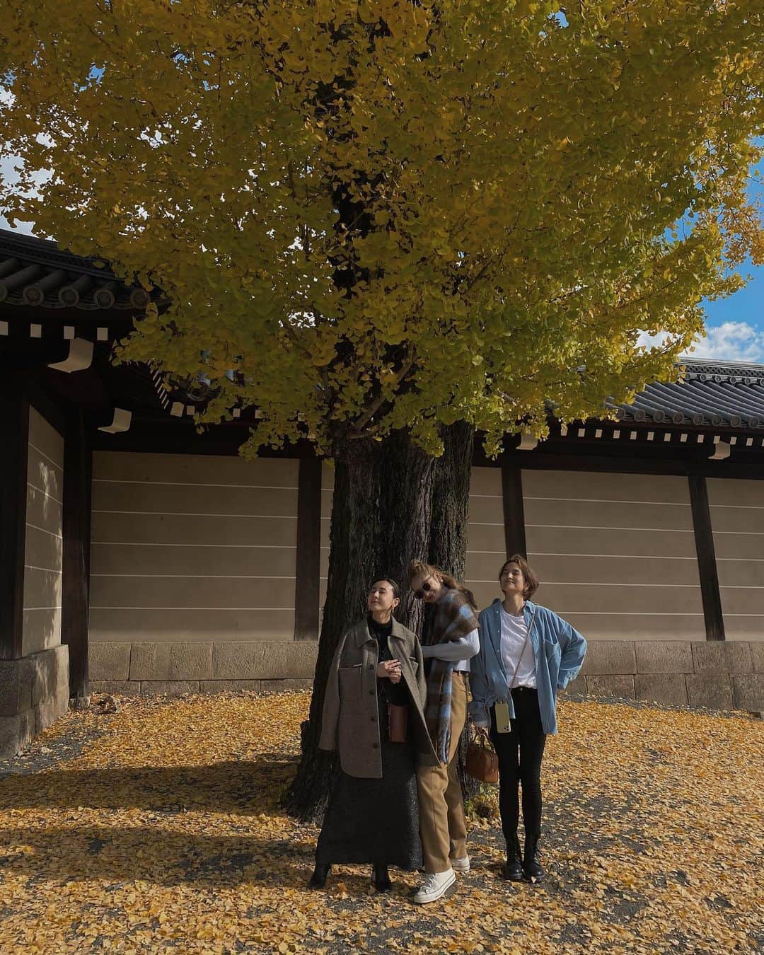 黒石奈央子さんのインスタグラム写真 - (黒石奈央子Instagram)「みんなで京都へ！！  立派な銀杏の木下で。  楽しい京都旅の始まり。  私の最新リールに京都旅アップしたのでぜひみてね♫  続く。  #京都旅#銀杏」12月1日 22時48分 - blackstone705