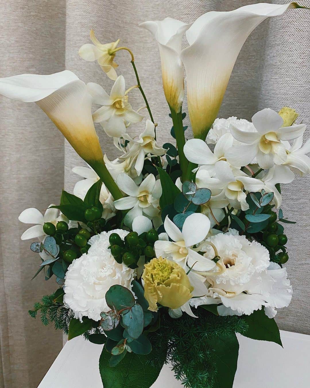 河北麻友子さんのインスタグラム写真 - (河北麻友子Instagram)「🤍🤍🤍 To me, flowers are happiness.  #BirthdayFlowers #Thankful」12月1日 22時48分 - mayukokawakitaofficial