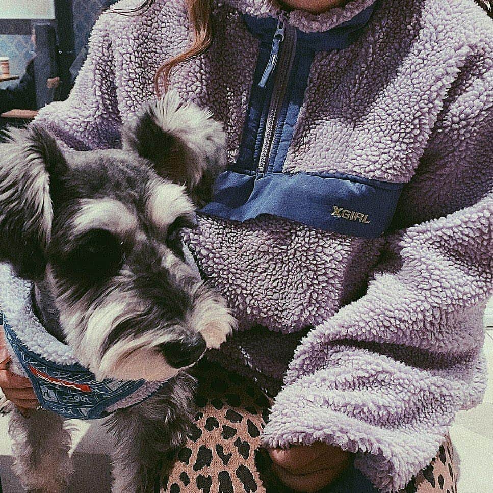 Caluluのインスタグラム
