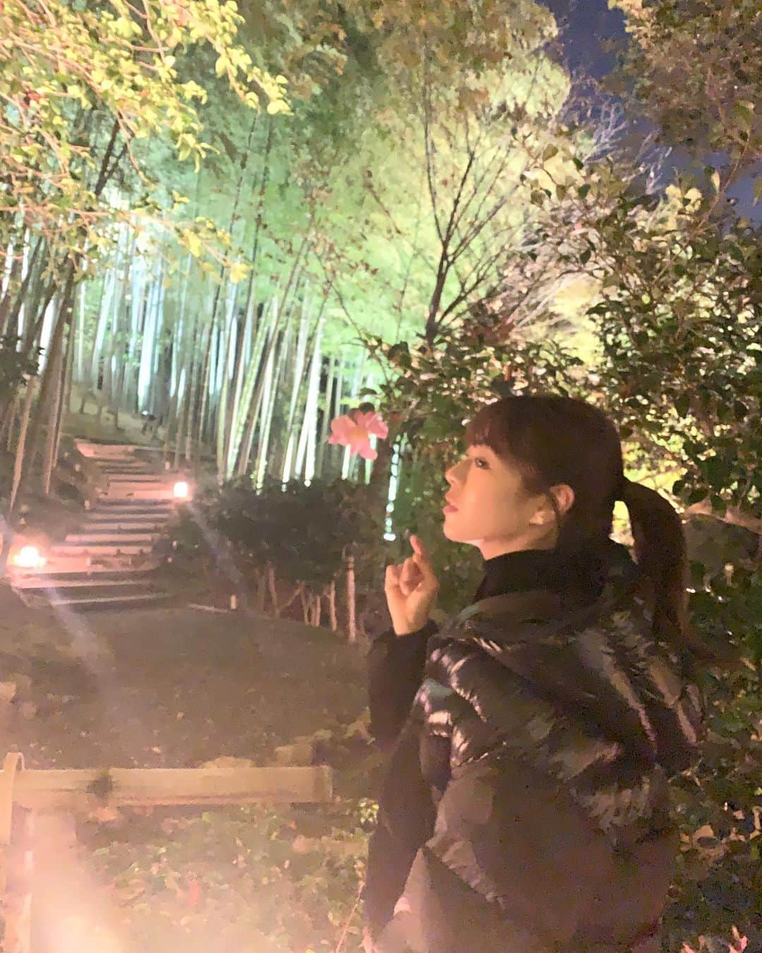 わちみなみのインスタグラム：「さざんか？みつけた✨ もう冬かなあ  【出演情報】﻿ 来週も🥲✨✨﻿ 12月8日﻿ テレビ朝日系全国ネット﻿ 21時〜﻿ トリニクって何の肉？﻿ 出演させていただいています。﻿ ﻿ 賢いグラビアアイドルで﻿ 覚えてくださいね🎄🏃‍♂️﻿ ﻿ みてねっ！！﻿ ﻿ 【↓カレンダーイベント情報】﻿ ﻿ ﻿ 🆕ホリプロオンラインショップでも﻿ 特典付販売決定！🆕﻿ 特典：直筆サイン入りカレンダー+オリジナル生写真（2種の内、ランダム1種）﻿ ご予約は、こちら﻿ https://horipro-shop.com/products/detail/﻿ ﻿ ﻿ 【わちみなみ2021年カレンダーお渡し会予約について🦩✨】﻿ ﻿ 💛2020年12月20日（日）　﻿ 💛12:00～﻿ 💛場所:書泉グランデ（神保町）﻿ ﻿ ⚠️予約開始日:﻿ 2020年11月27日（金）﻿ 特典内容＆予約方法﻿ 詳細は、こちら↓﻿ shosen.co.jp/event/148524/﻿ ﻿ また、わちちくらぶ会員の方は﻿ プレゼント抽選会に参加できます🙏﻿ ぜひわたしのプレゼント受け取ってください🎁﻿ ﻿ ﻿ #トリニクって何の肉　？来週も。。﻿ #カレンダーイベント　﻿ #わちみなみ　#水着」