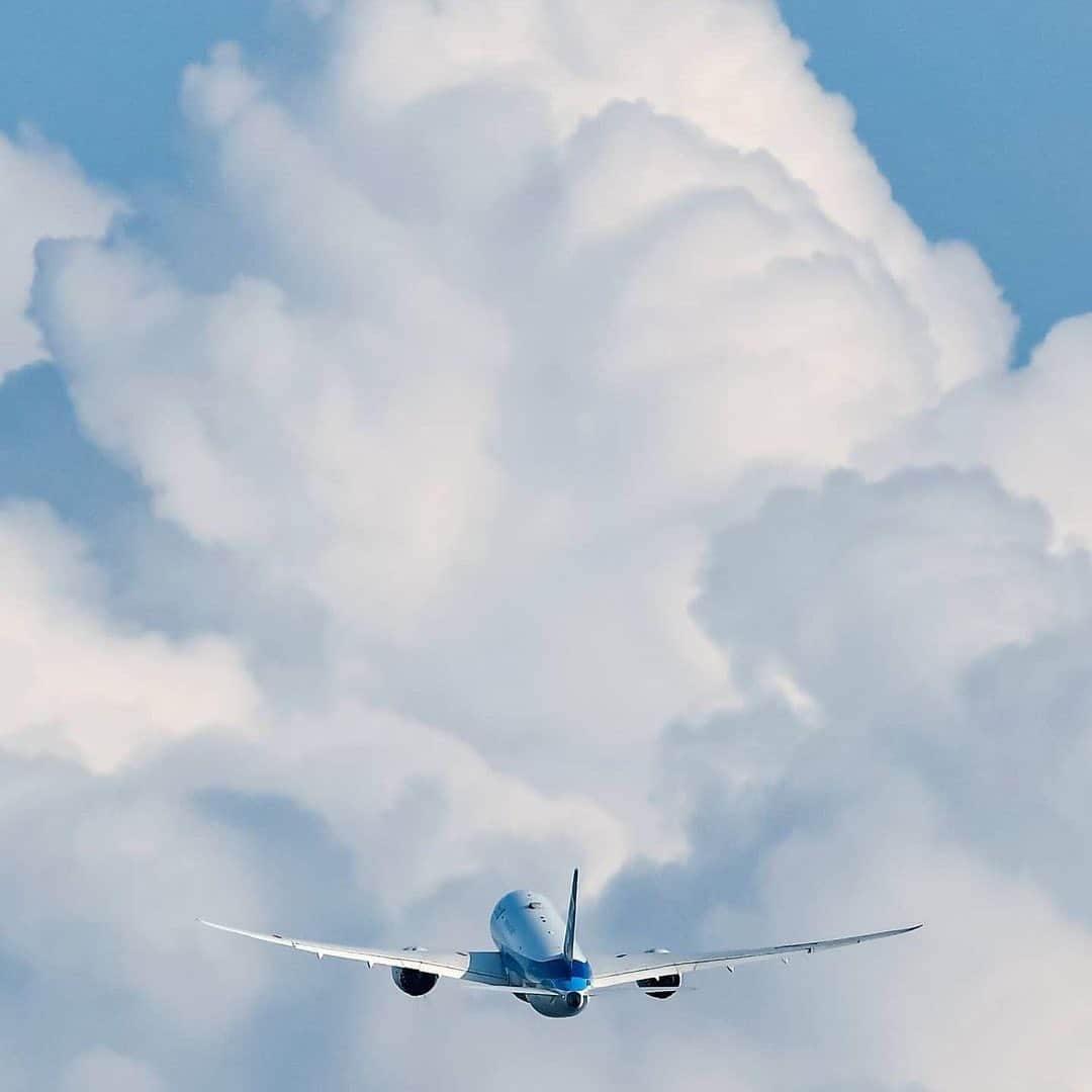 All Nippon Airwaysさんのインスタグラム写真 - (All Nippon AirwaysInstagram)「Feeling like we're on cloud nine. ⛅️ 📷: fly_towards_the_world #Regram #FlyANA」12月1日 23時21分 - allnipponairways
