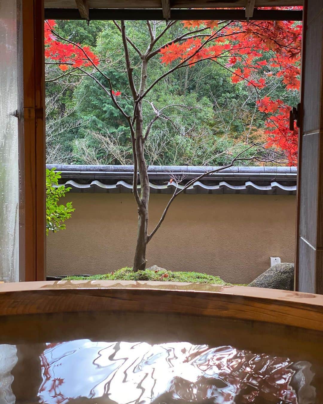 木本泉さんのインスタグラム写真 - (木本泉Instagram)「-﻿ 箱根のお湯、やっぱり良い♨️﻿ ﻿ 鼻の横に久々に大きな吹き出物ができて、、、少しは良くなるかな😅﻿ ﻿ ﻿ #箱根#温泉#強羅花壇#お湯」12月1日 23時43分 - izumikimoto
